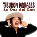 Tiburon Morales La Voz Del Son